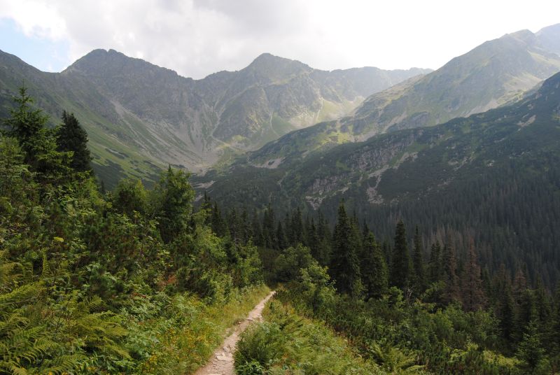 pepajs.cz